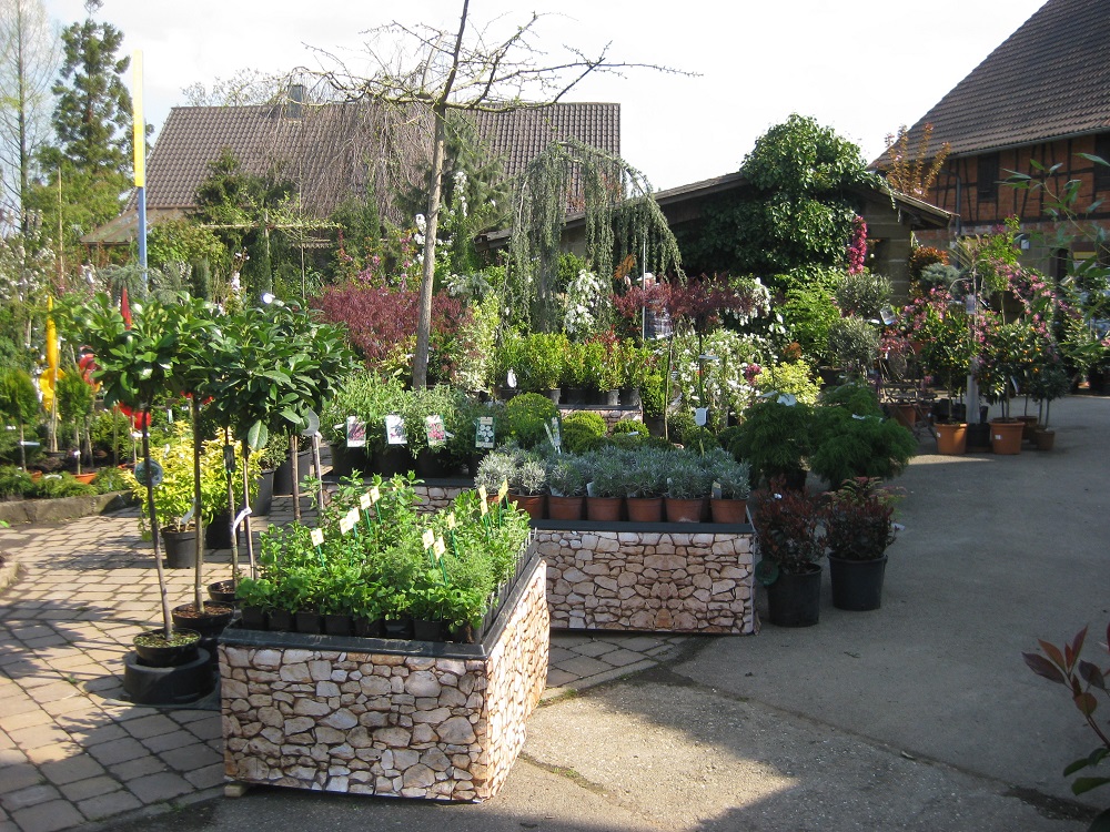 Vogg_Sommer_2011 5.jpg